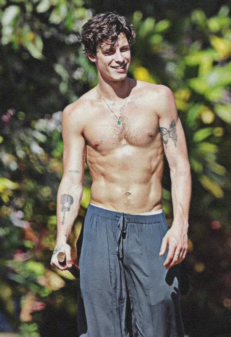 shawn mendes cock|Shawn Mendes' Dick Just Broke Gay Twitter .